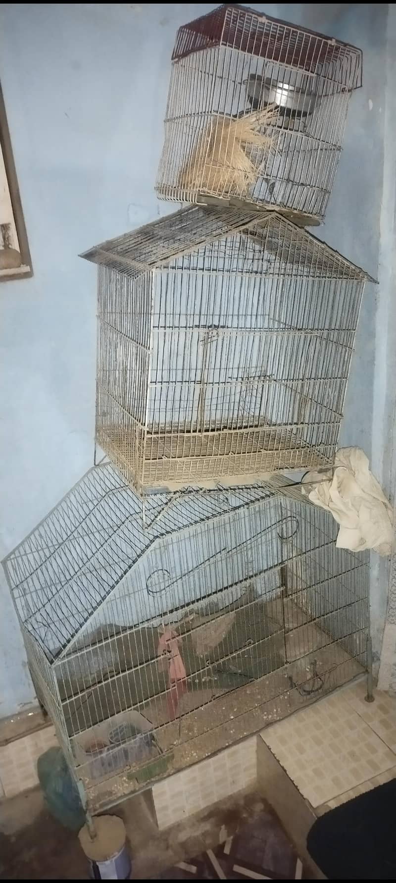 Cages 1