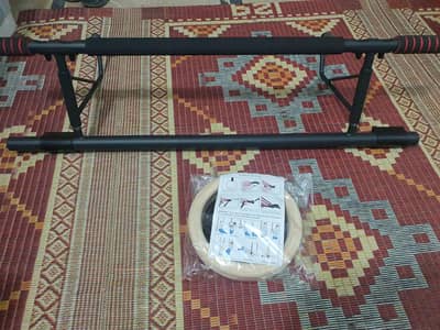 imported pull up bar and gymnastic rings