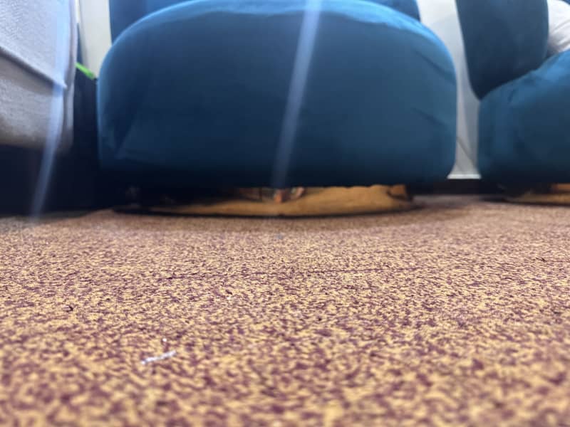 2 modern sofa/ coffee sofas 3