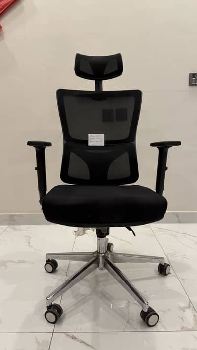 Ergonomic mesh chair
