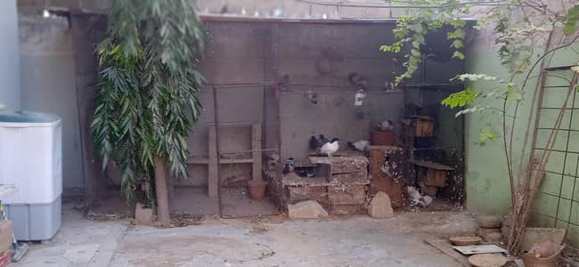 Master cage for poultry