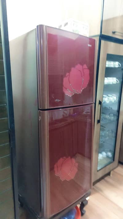 Glass Door Fridge,  Compressor's health good.