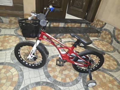 carbon cycle imported