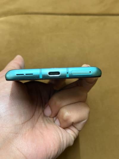 oneplus 8t dual sims