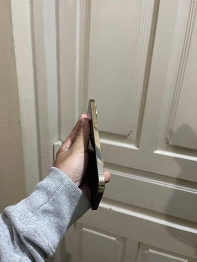 12pro max 128 Gb Dual physical PTA Approved