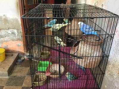 Urgent sale 03099233369