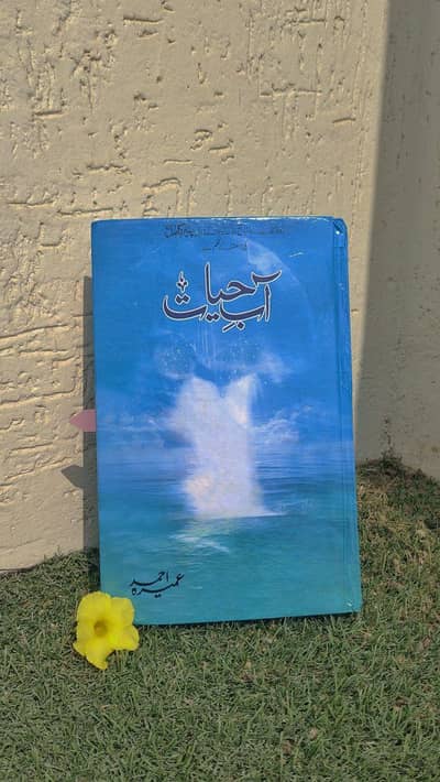 abe hayat novel