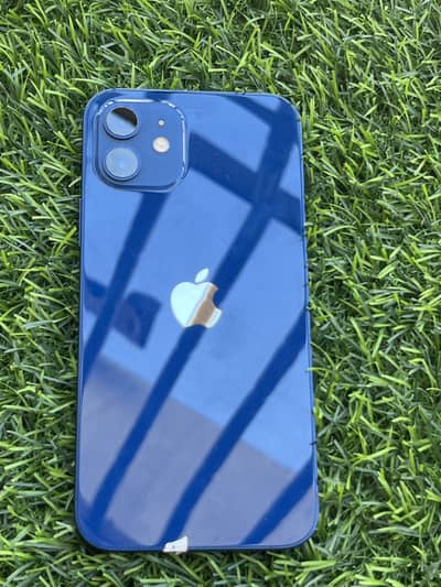 Iphone 12 Pta Approved