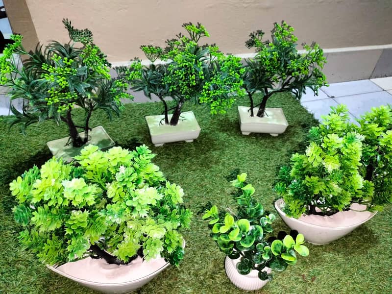 Green tree Pots Decorations 1
