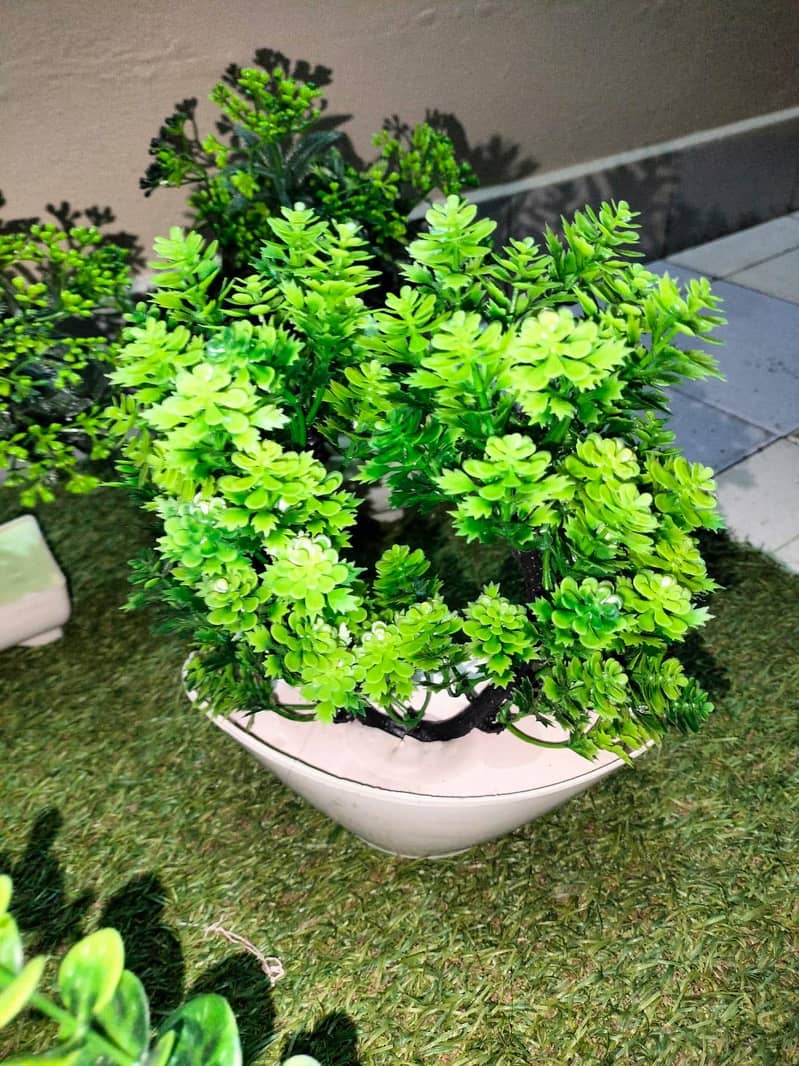 Green tree Pots Decorations 2