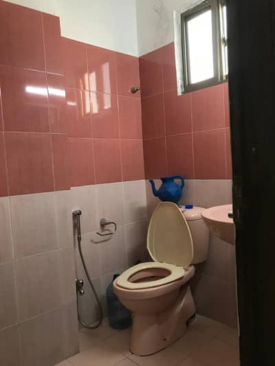 3 Three Bedroom Apartment Available For Sale