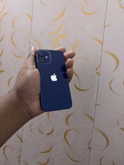 iPhone 12 mini