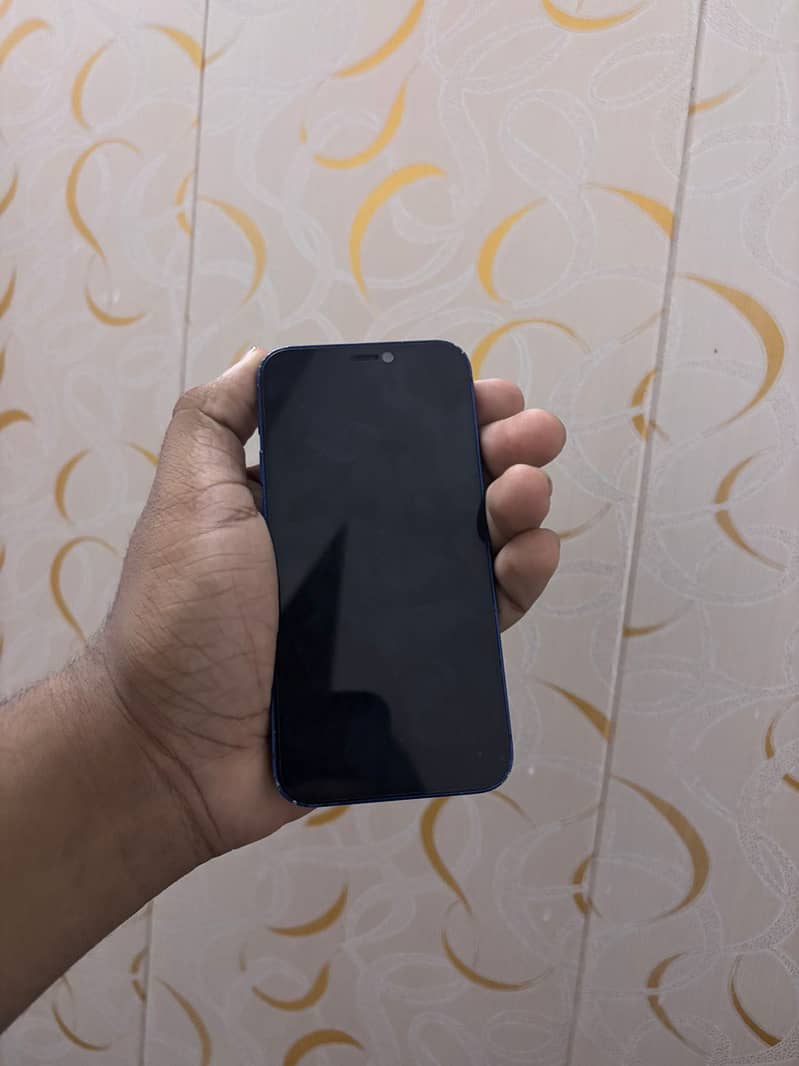 iPhone 12 mini 1