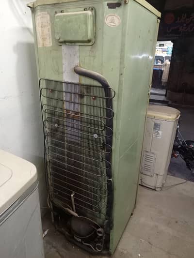 bht mazbut badi ha coling bht achi ha