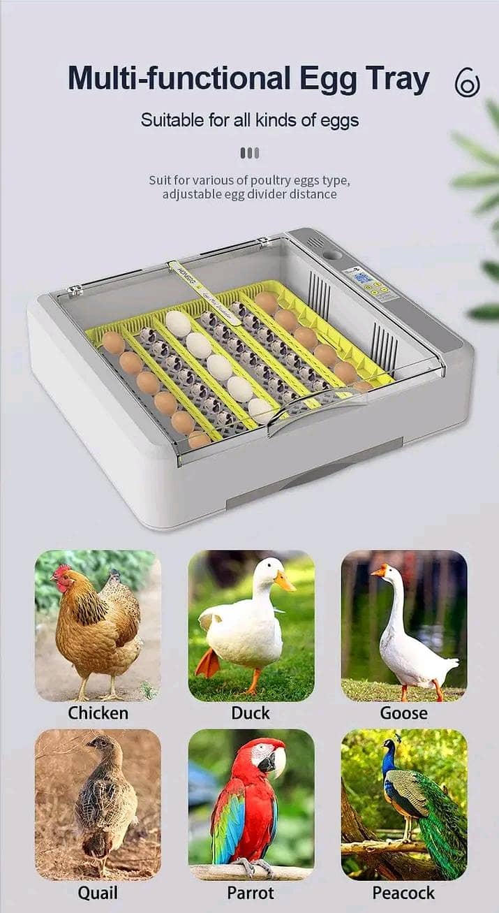 Automatic Egg Incubator | Egg Hatching Machine | Incubator | Brooder 2