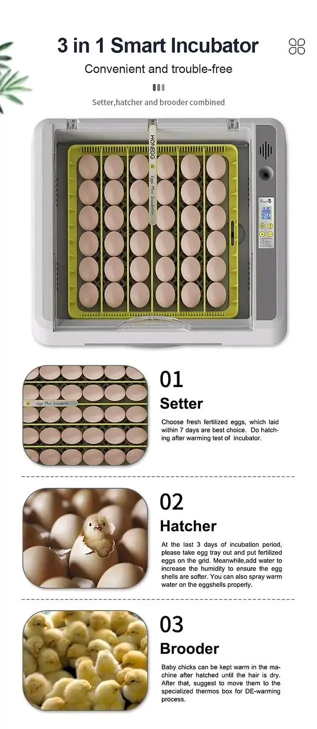 Eggs incubator | Hatching machine | automictic incubator | Brooder — photo 3