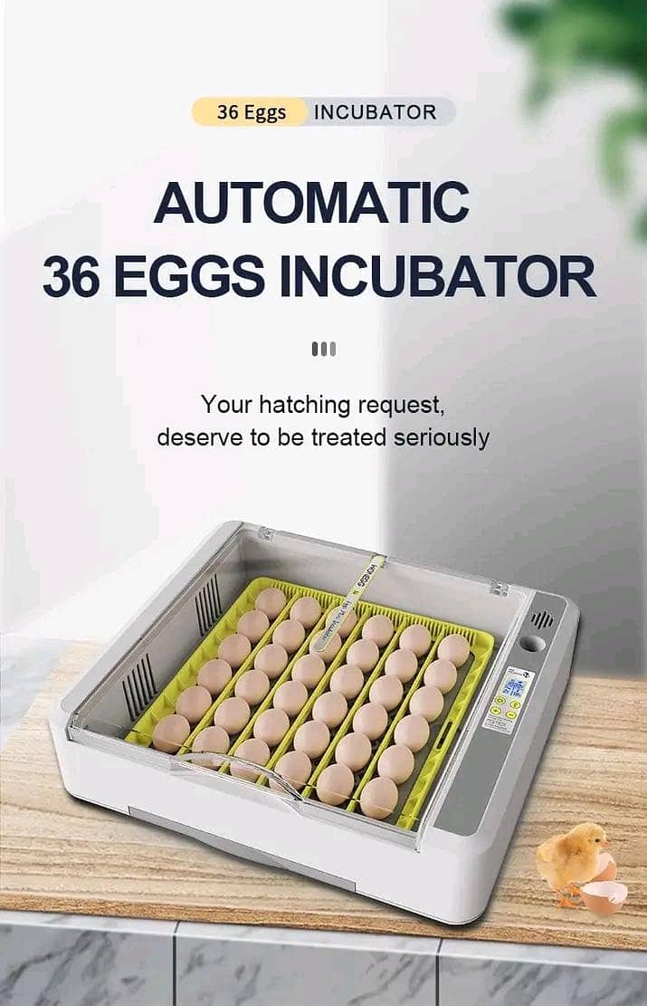 Automatic Egg Incubator | Egg Hatching Machine | Incubator | Brooder 4