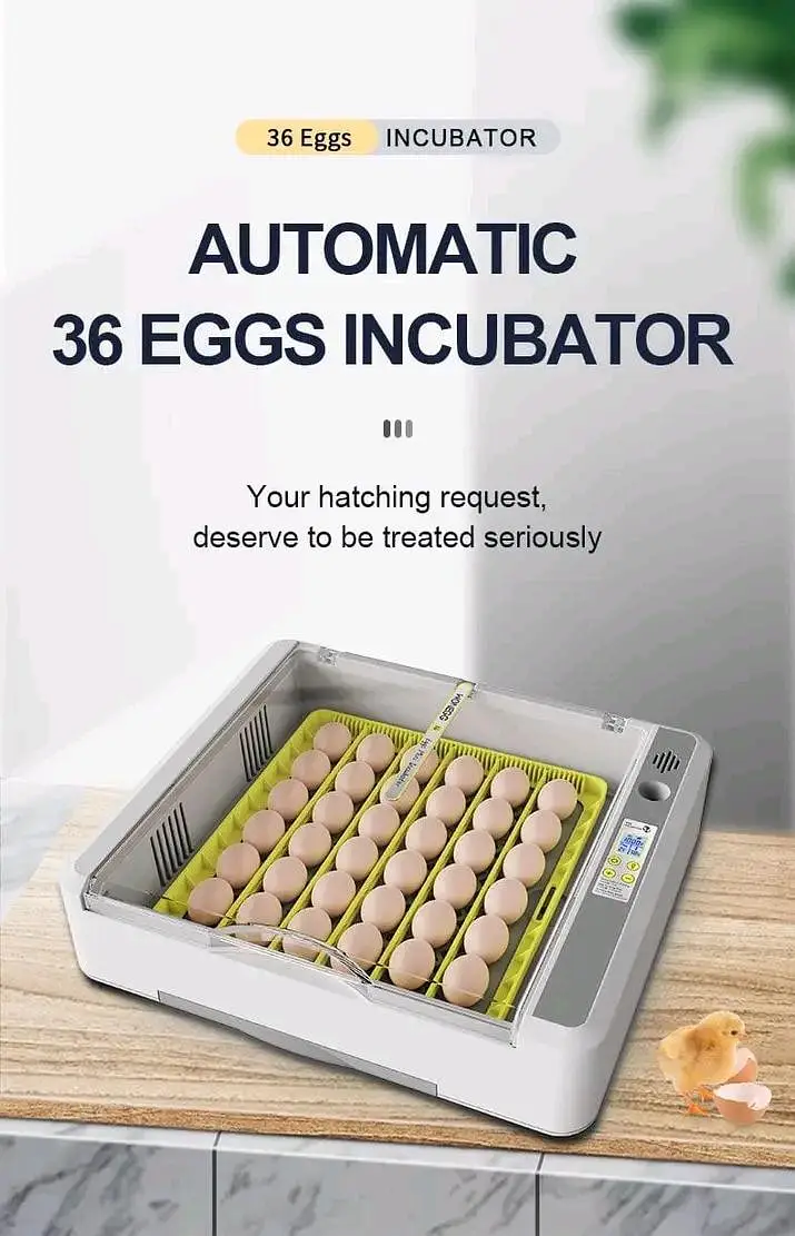 Eggs incubator | Hatching machine | automictic incubator | Brooder — photo 4