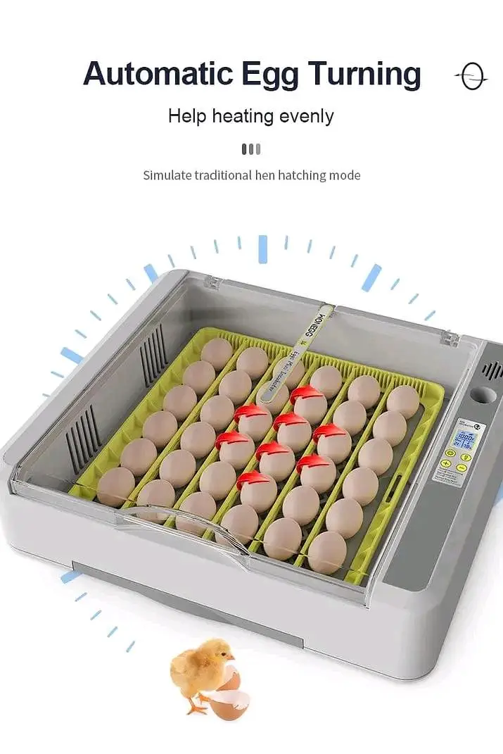 Eggs incubator | Hatching machine | automictic incubator | Brooder — photo 6