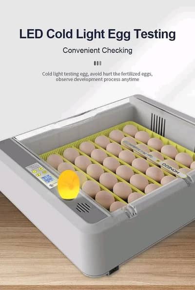 Eggs incubator | Hatching machine | automictic incubator | Brooder