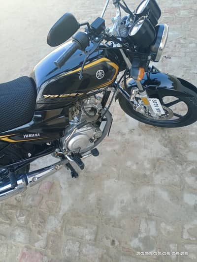 24 Model Yamaha ybz dx