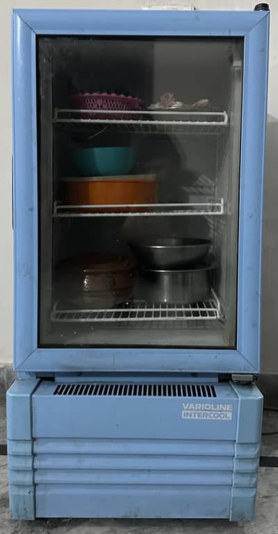 Mini Varoline fridge