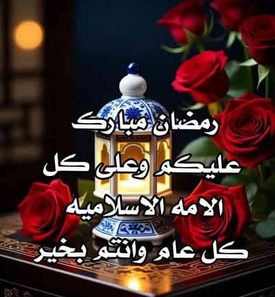 Automatic roti machine robot baker 