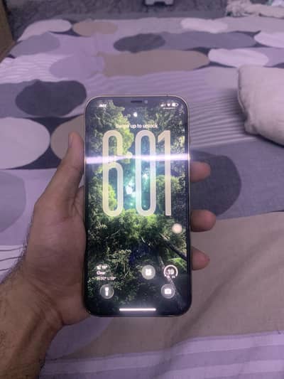 12 PRO MAX DUAL APPROVED