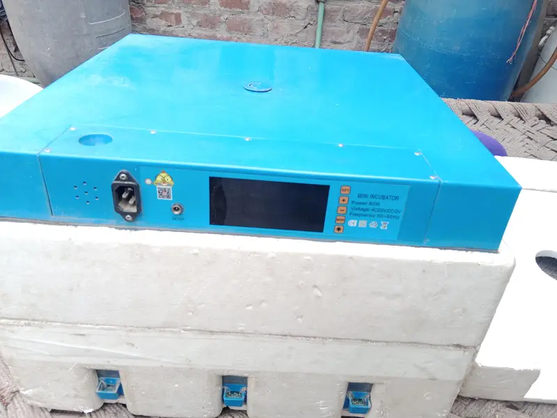 eggs Incubator — photo 4