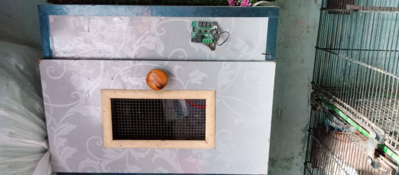 automatic brooder all oky 0