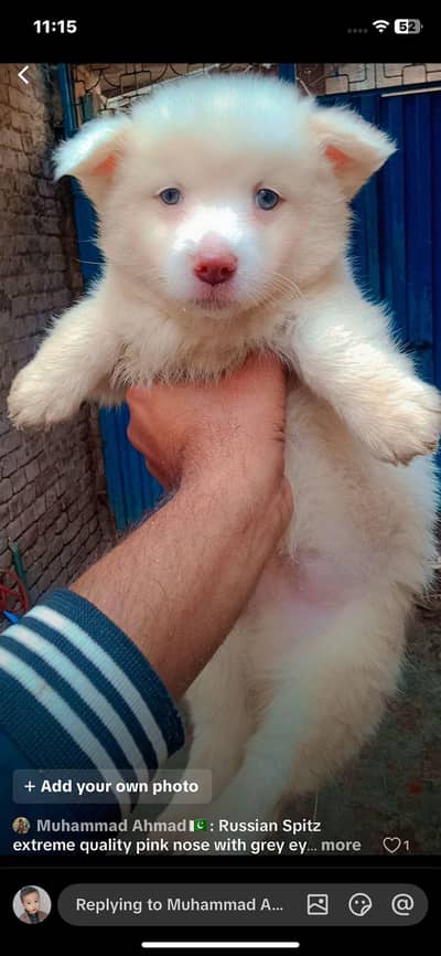 argand sal viza a gea ha many dubi Jana ha ghr py koi snbalny Wala ni