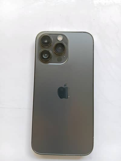 iPhone 13 Pro fu model