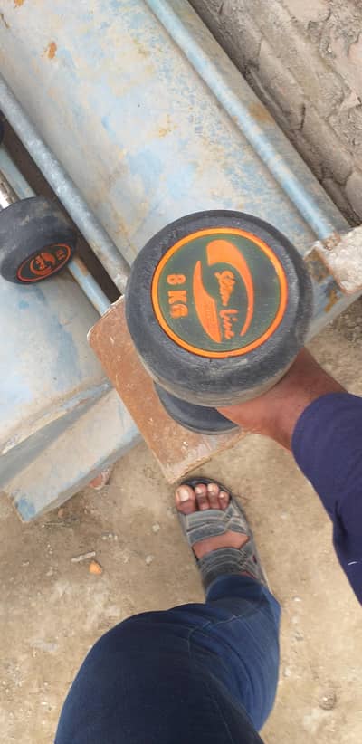 8 Kg Dumbbell pair