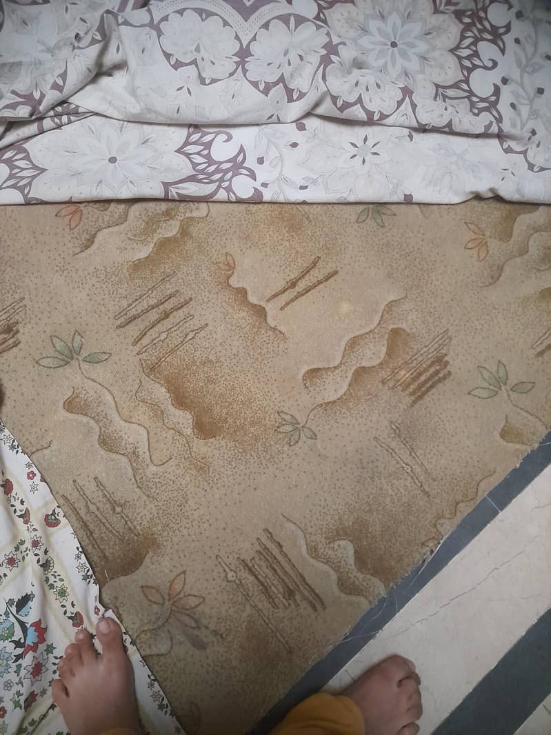carpet 1