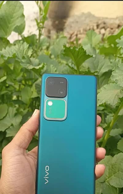 vivo v30 12/256