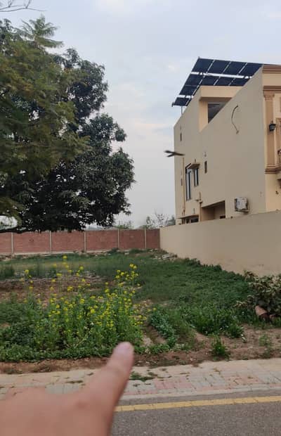 23 MARLA (50 BY 104) HOT LOCATION PLOT