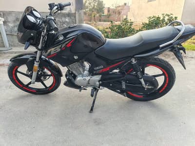 Yamaha YBR 125 2024