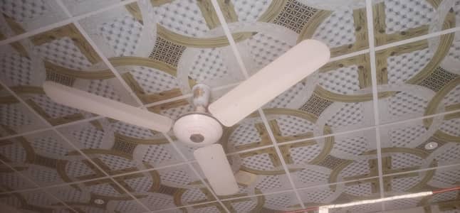 beeta fan copper winding