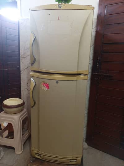 PEL refrigerator 12 cf