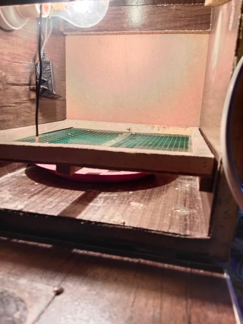 egg machine 4