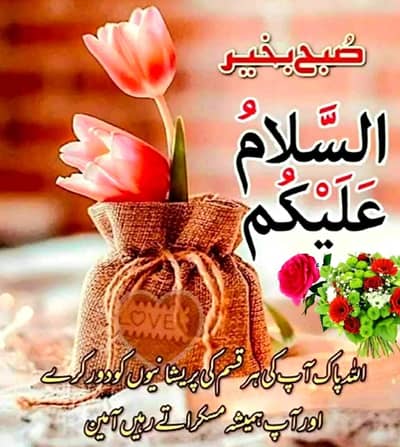 Need female cook + house help (all rounder) full time or 8 hours