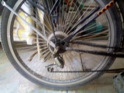 cycle for sale