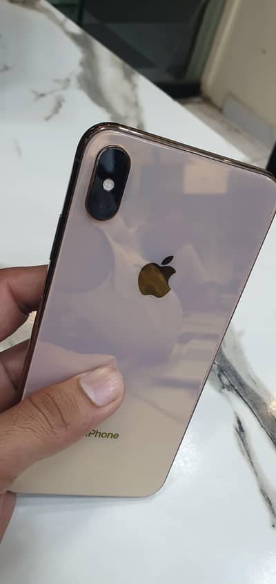 xs max non pta