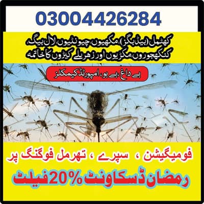 Budbugs spray/pest control service/Deemak Control spray&treatment