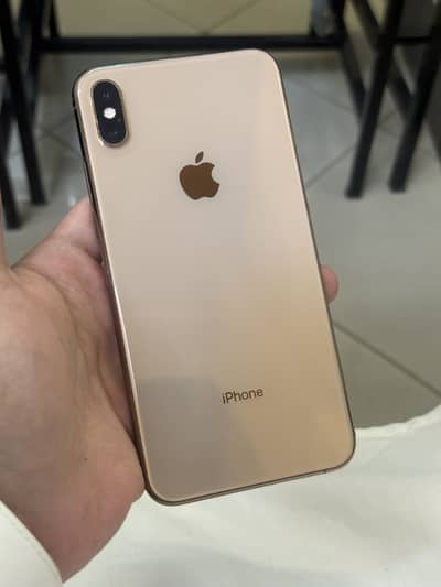 Xs max dual sim physical