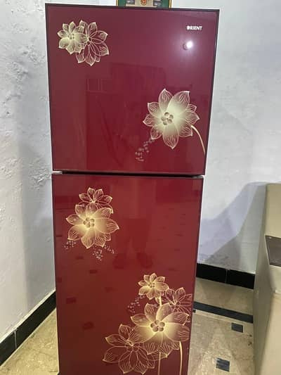 Orient medium size Refrigerator glass door