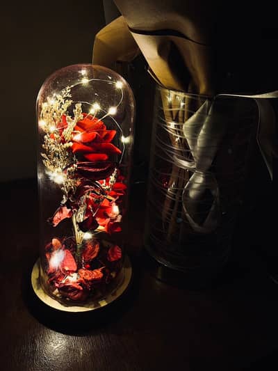 Enchanted Rose Jar (Fairy Light Magic)