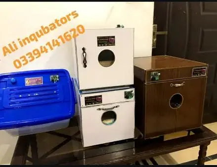 ALI INCUBATOR & BROODER s — photo 7