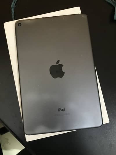 iPad mini 5