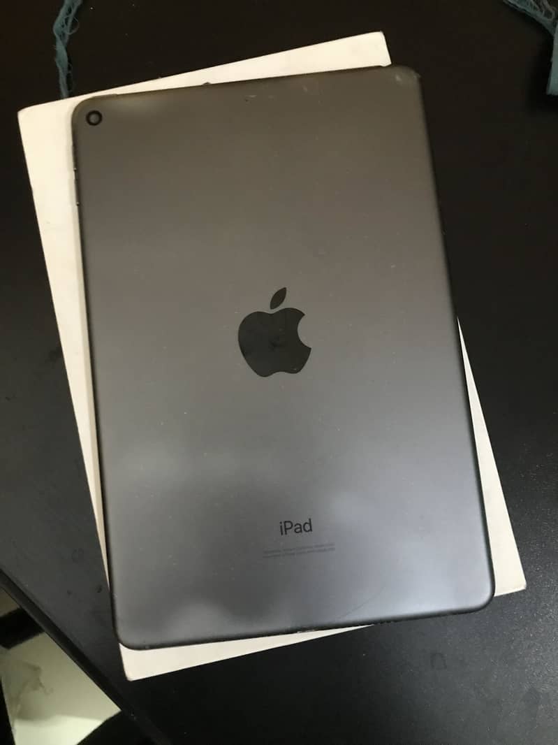 iPad mini 5 0